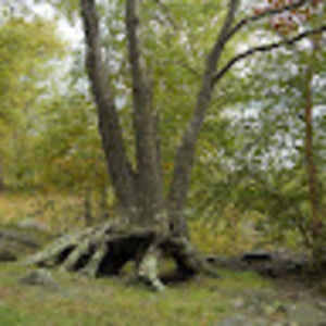 Meet your Posher, Katye